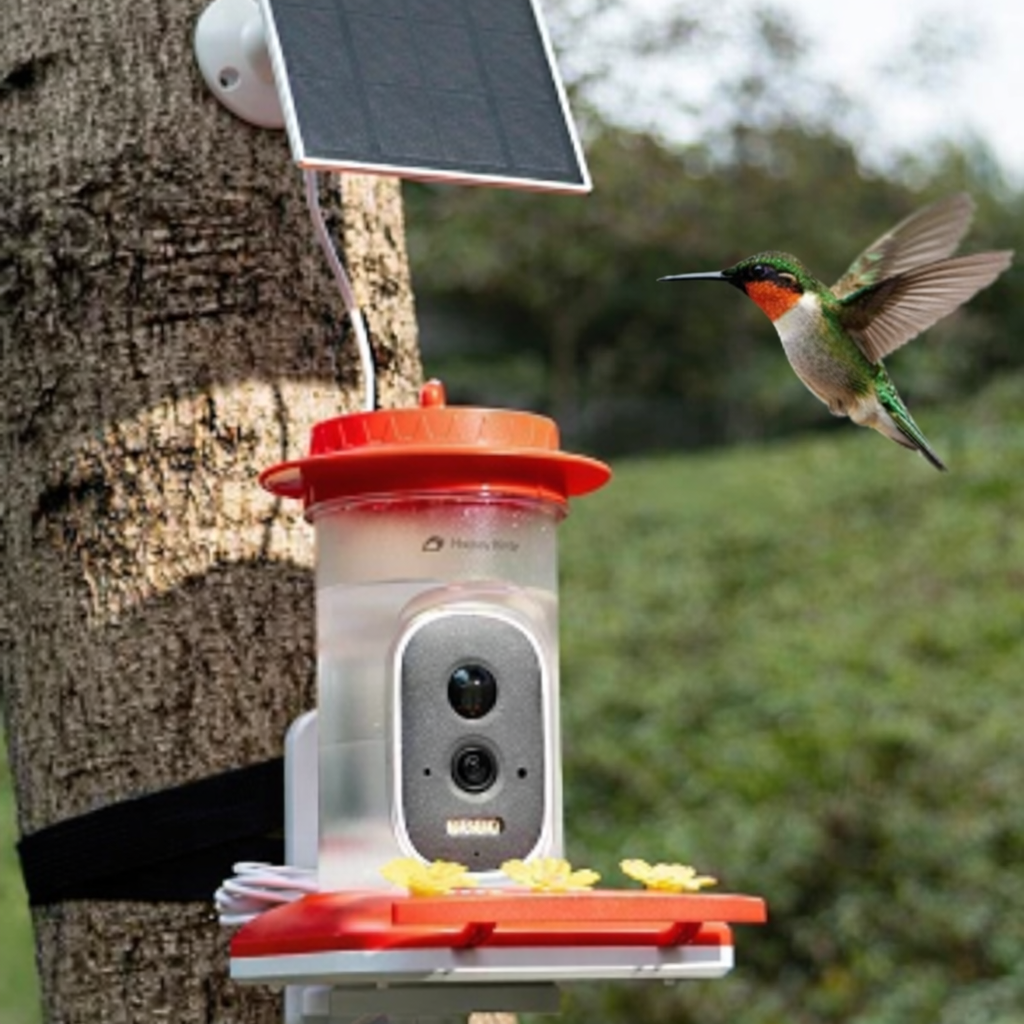 1. Mount Your Feeder