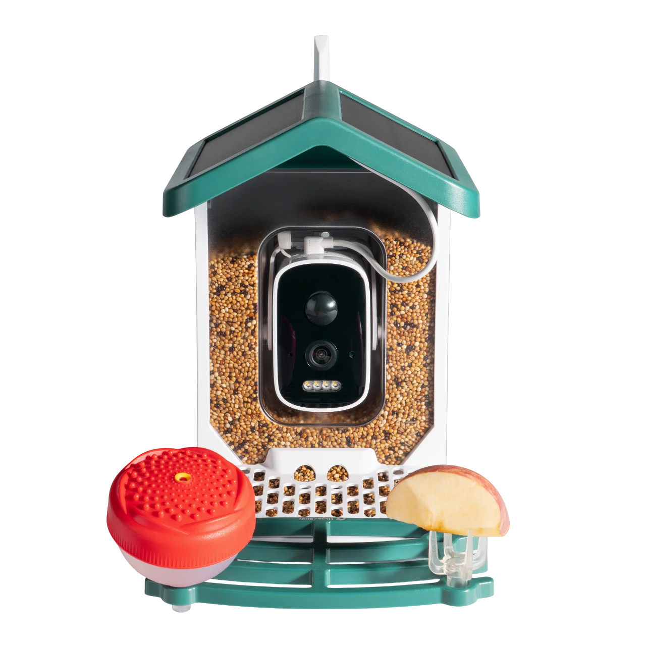 Smart bird feeder