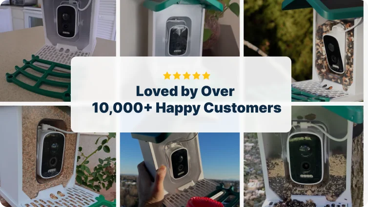 Lots of user reviews